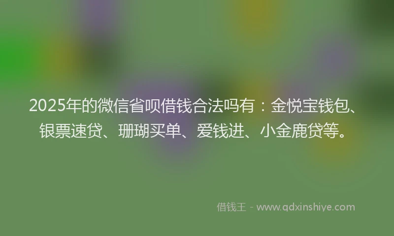 2025年的微信省呗借钱合法吗有：金悦宝钱包、银票速贷、珊瑚买单、爱钱进、小金鹿贷等。