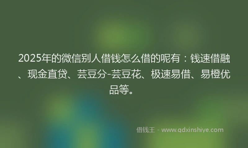 2025年的微信别人借钱怎么借的呢有：钱速借融、现金直贷、芸豆分-芸豆花、极速易借、易橙优品等。