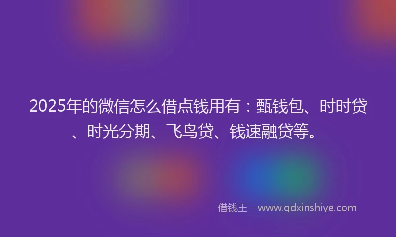 2025年的微信怎么借点钱用有：甄钱包、时时贷、时光分期、飞鸟贷、钱速融贷等。