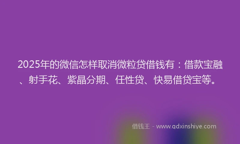 2025年的微信怎样取消微粒贷借钱有：借款宝融、射手花、紫晶分期、任性贷、快易借贷宝等。