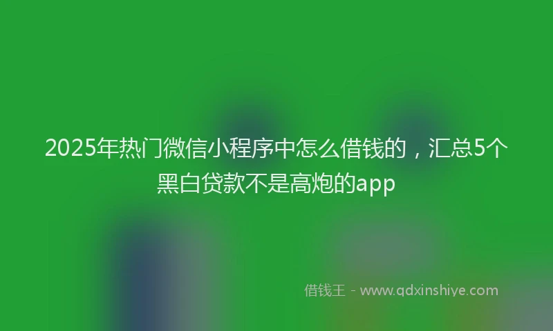 2025年热门微信小程序中怎么借钱的，汇总5个黑白贷款不是高炮的app