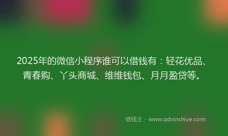2025年的微信小程序谁可以借钱有：轻花优品、青春购、丫头商城、维维钱包、月月盈贷等。