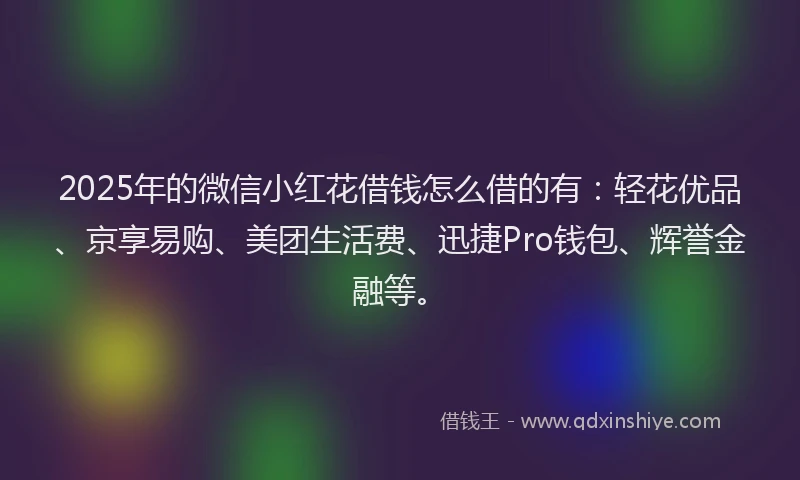 2025年的微信小红花借钱怎么借的有：轻花优品、京享易购、美团生活费、迅捷Pro钱包、辉誉金融等。