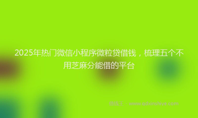 2025年热门微信小程序微粒贷借钱，梳理五个不用芝麻分能借的平台