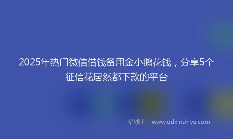 2025年热门微信借钱备用金小鹅花钱，分享5个征信花居然都下款的平台