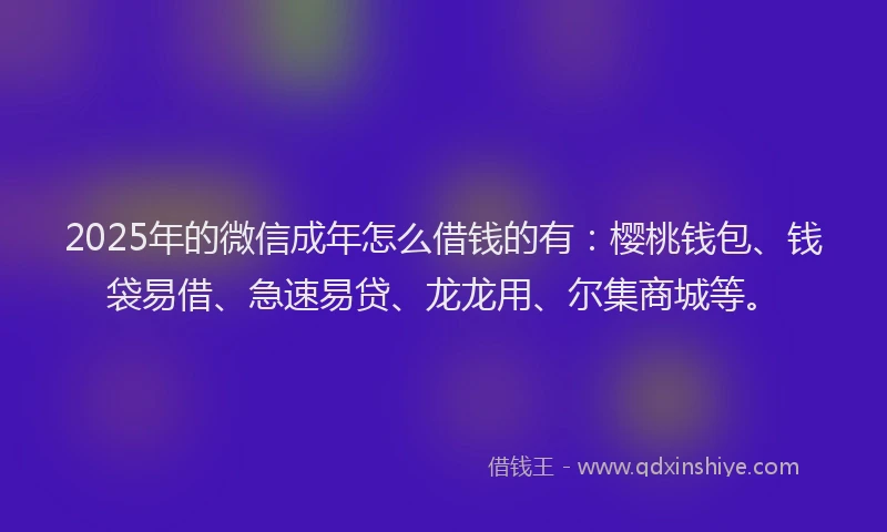 2025年的微信成年怎么借钱的有：樱桃钱包、钱袋易借、急速易贷、龙龙用、尔集商城等。