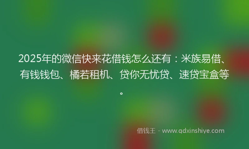 2025年的微信快来花借钱怎么还有：米族易借、有钱钱包、橘若租机、贷你无忧贷、速贷宝盒等。