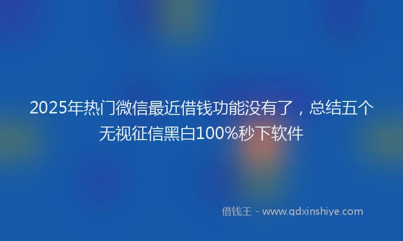 2025年热门微信最近借钱功能没有了，总结五个无视征信黑白100%秒下软件