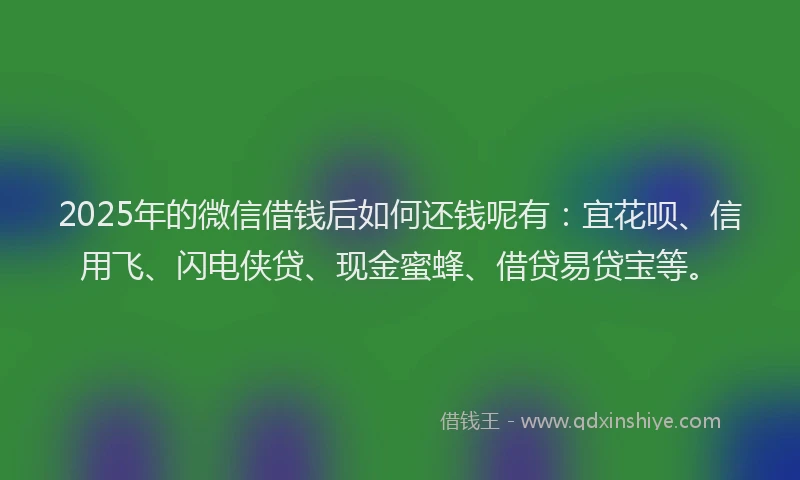 2025年的微信借钱后如何还钱呢有：宜花呗、信用飞、闪电侠贷、现金蜜蜂、借贷易贷宝等。