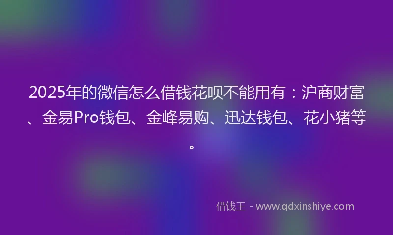 2025年的微信怎么借钱花呗不能用有：沪商财富、金易Pro钱包、金峰易购、迅达钱包、花小猪等。