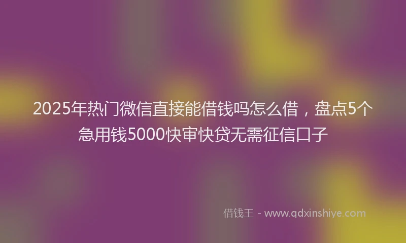 2025年热门微信直接能借钱吗怎么借，盘点5个急用钱5000快审快贷无需征信口子