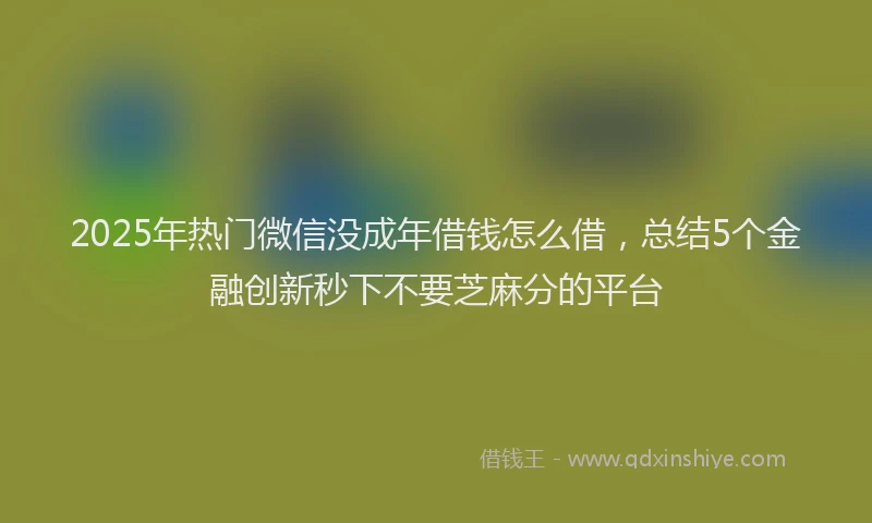 2025年热门微信没成年借钱怎么借，总结5个金融创新秒下不要芝麻分的平台