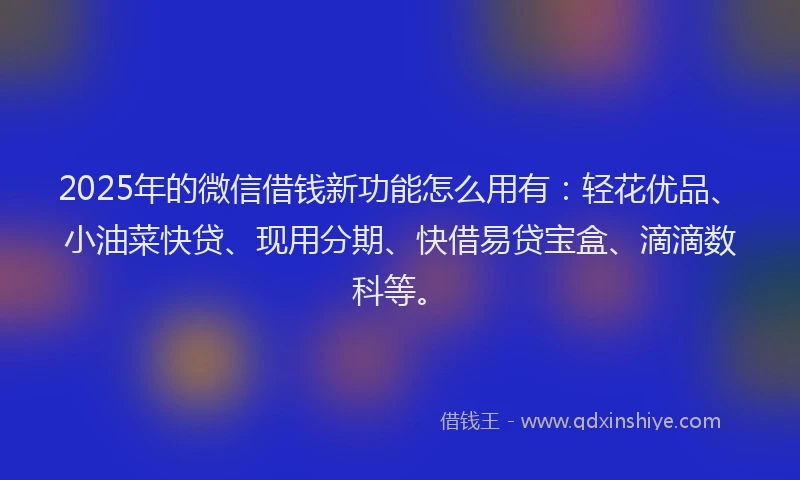2025年的微信借钱新功能怎么用有：轻花优品、小油菜快贷、现用分期、快借易贷宝盒、滴滴数科等。