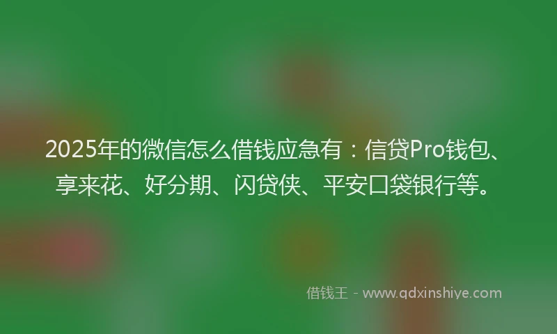 2025年的微信怎么借钱应急有：信贷Pro钱包、享来花、好分期、闪贷侠、平安口袋银行等。