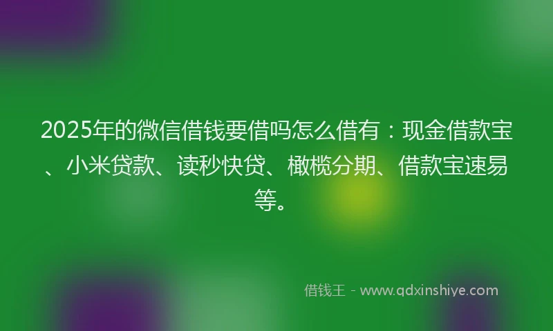 2025年的微信借钱要借吗怎么借有：现金借款宝、小米贷款、读秒快贷、橄榄分期、借款宝速易等。