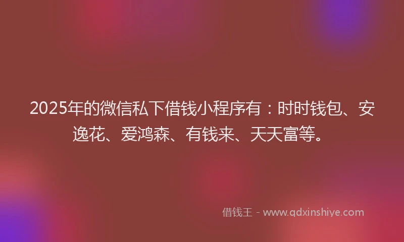 2025年的微信私下借钱小程序有：时时钱包、安逸花、爱鸿森、有钱来、天天富等。