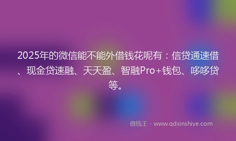 2025年的微信能不能外借钱花呢有：信贷通速借、现金贷速融、天天盈、智融Pro+钱包、哆哆贷等。