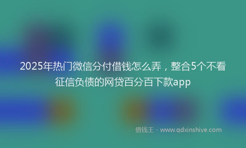 2025年热门微信分付借钱怎么弄，整合5个不看征信负债的网贷百分百下款app