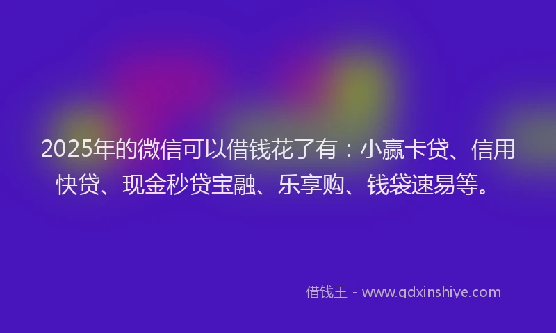 2025年的微信可以借钱花了有：小赢卡贷、信用快贷、现金秒贷宝融、乐享购、钱袋速易等。