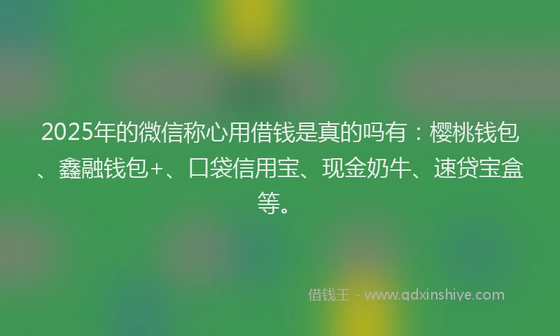 2025年的微信称心用借钱是真的吗有：樱桃钱包、鑫融钱包+、口袋信用宝、现金奶牛、速贷宝盒等。