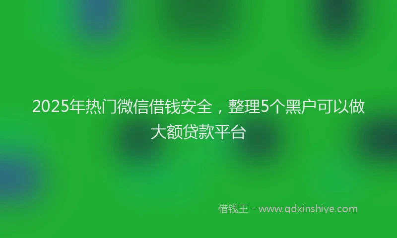 2025年热门微信借钱安全，整理5个黑户可以做大额贷款平台