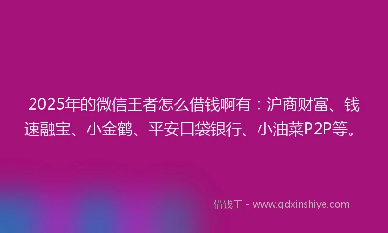 2025年的微信王者怎么借钱啊有：沪商财富、钱速融宝、小金鹤、平安口袋银行、小油菜P2P等。
