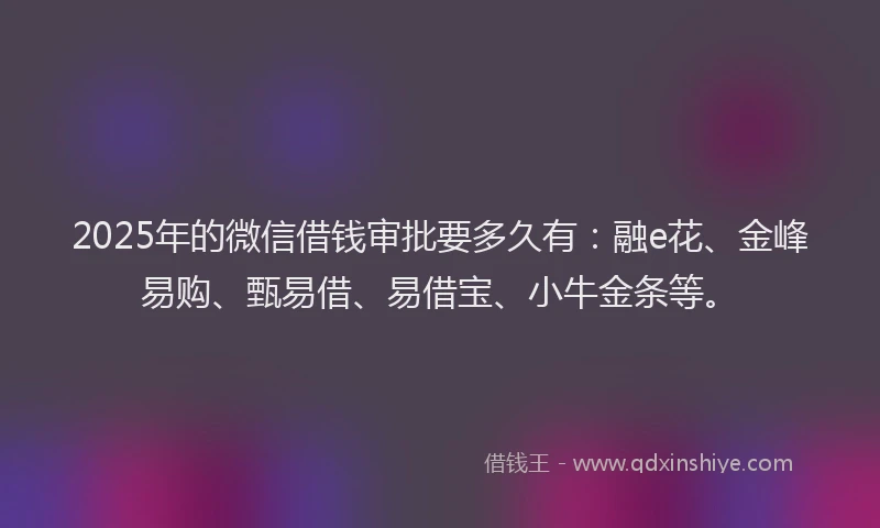 2025年的微信借钱审批要多久有：融e花、金峰易购、甄易借、易借宝、小牛金条等。