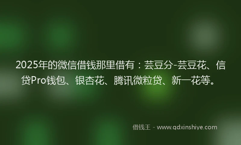 2025年的微信借钱那里借有：芸豆分-芸豆花、信贷Pro钱包、银杏花、腾讯微粒贷、新一花等。