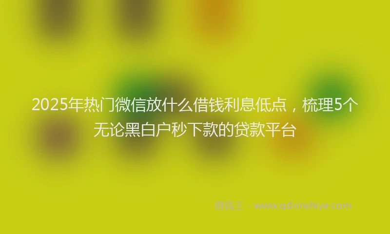 2025年热门微信放什么借钱利息低点，梳理5个无论黑白户秒下款的贷款平台