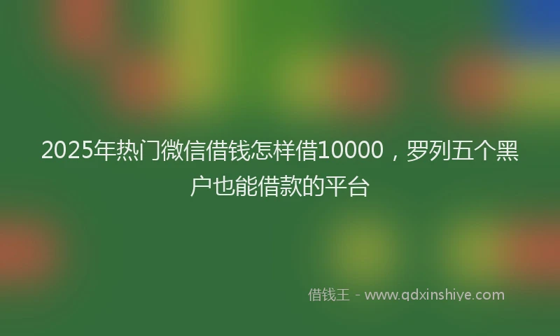 2025年热门微信借钱怎样借10000，罗列五个黑户也能借款的平台
