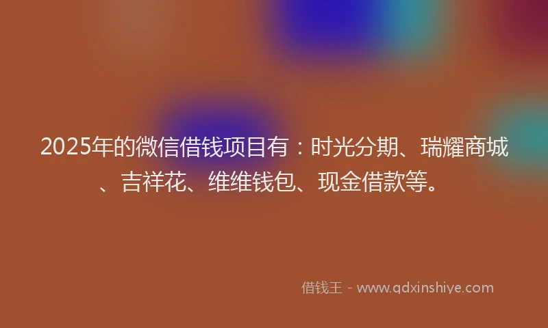 2025年的微信借钱项目有：时光分期、瑞耀商城、吉祥花、维维钱包、现金借款等。