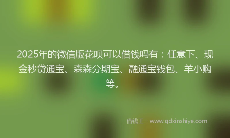 2025年的微信版花呗可以借钱吗有：任意下、现金秒贷通宝、森森分期宝、融通宝钱包、羊小购等。