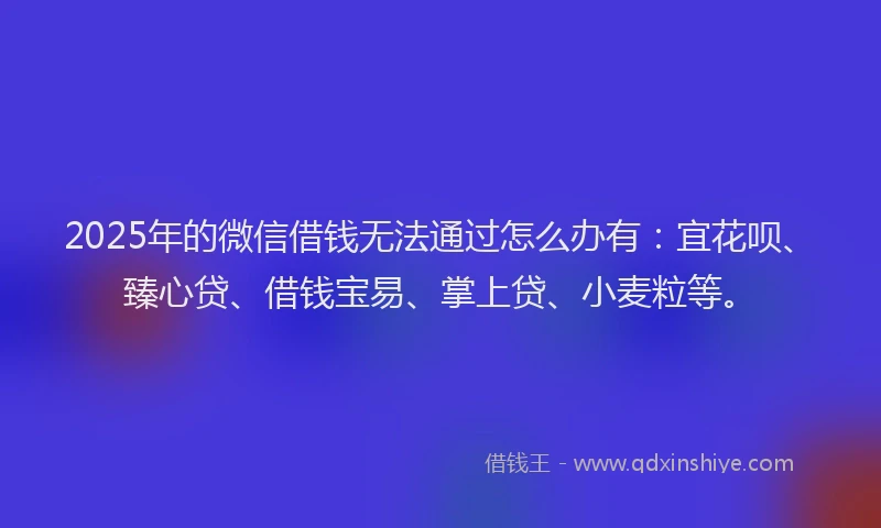 2025年的微信借钱无法通过怎么办有：宜花呗、臻心贷、借钱宝易、掌上贷、小麦粒等。