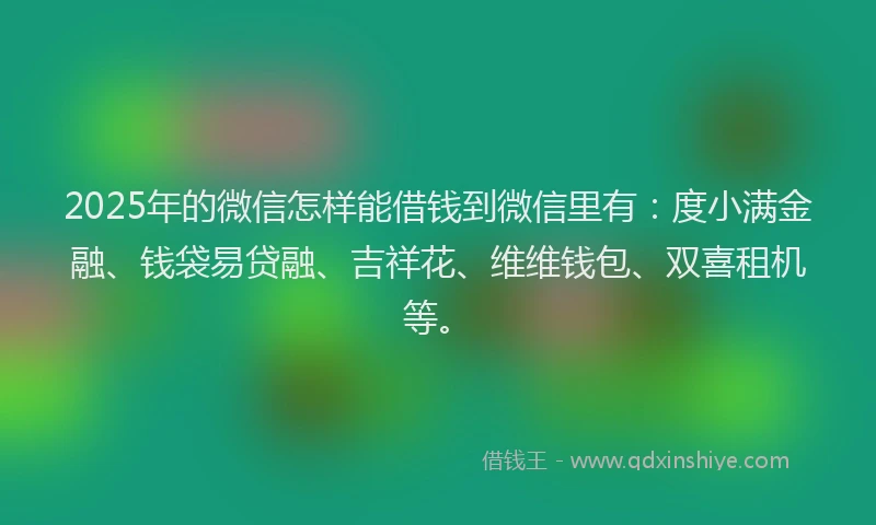 2025年的微信怎样能借钱到微信里有：度小满金融、钱袋易贷融、吉祥花、维维钱包、双喜租机等。
