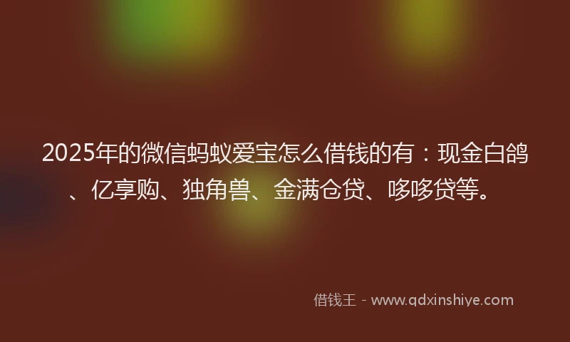 2025年的微信蚂蚁爱宝怎么借钱的有：现金白鸽、亿享购、独角兽、金满仓贷、哆哆贷等。