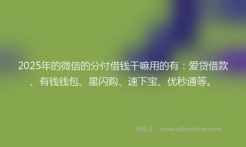 2025年的微信的分付借钱干嘛用的有：爱贷借款、有钱钱包、星闪购、速下宝、优秒通等。