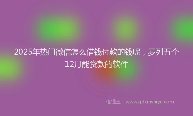 2025年热门微信怎么借钱付款的钱呢，罗列五个12月能贷款的软件