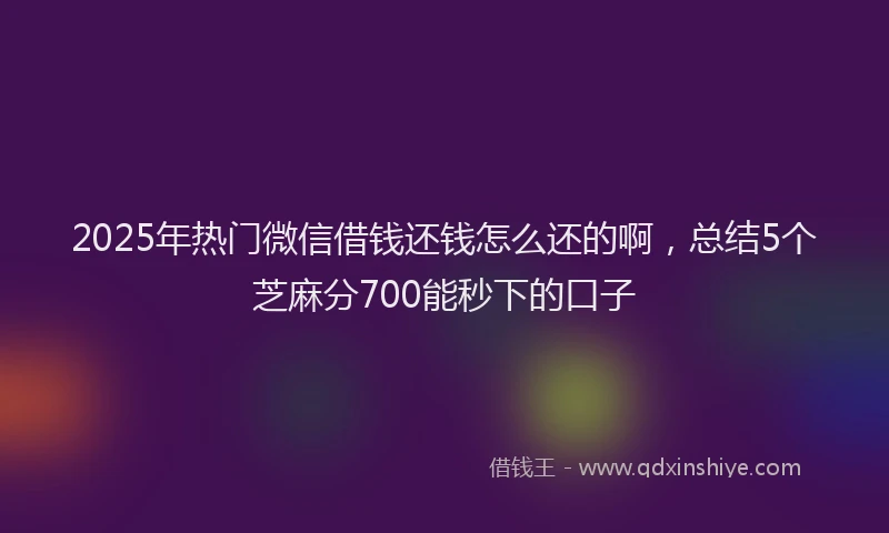2025年热门微信借钱还钱怎么还的啊，总结5个芝麻分700能秒下的口子