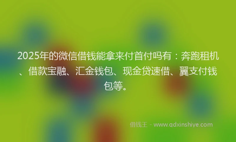2025年的微信借钱能拿来付首付吗有：奔跑租机、借款宝融、汇金钱包、现金贷速借、翼支付钱包等。