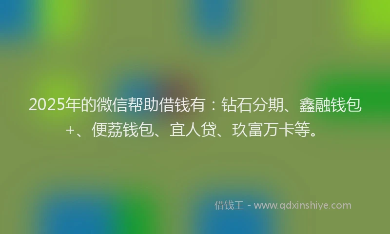 2025年的微信帮助借钱有：钻石分期、鑫融钱包+、便荔钱包、宜人贷、玖富万卡等。