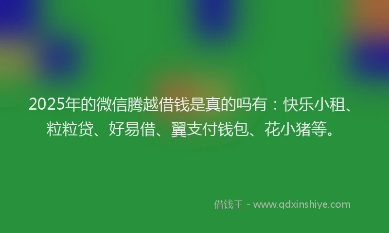 2025年的微信腾越借钱是真的吗有：快乐小租、粒粒贷、好易借、翼支付钱包、花小猪等。