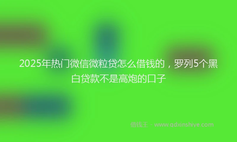2025年热门微信微粒贷怎么借钱的，罗列5个黑白贷款不是高炮的口子