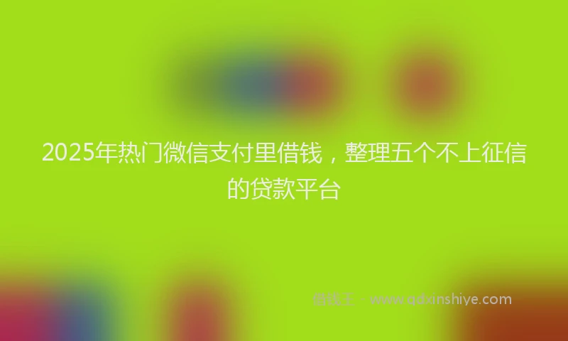 2025年热门微信支付里借钱，整理五个不上征信的贷款平台