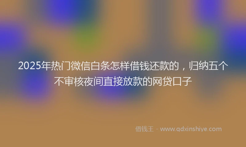2025年热门微信白条怎样借钱还款的，归纳五个不审核夜间直接放款的网贷口子