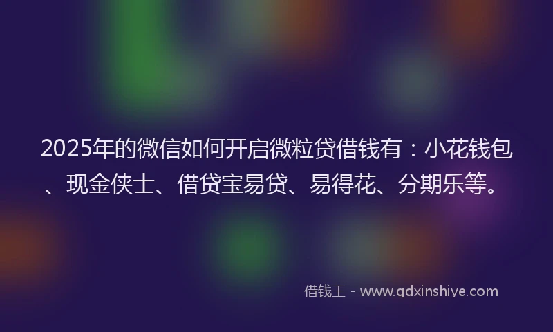 2025年的微信如何开启微粒贷借钱有：小花钱包、现金侠士、借贷宝易贷、易得花、分期乐等。