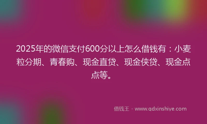 2025年的微信支付600分以上怎么借钱有：小麦粒分期、青春购、现金直贷、现金侠贷、现金点点等。