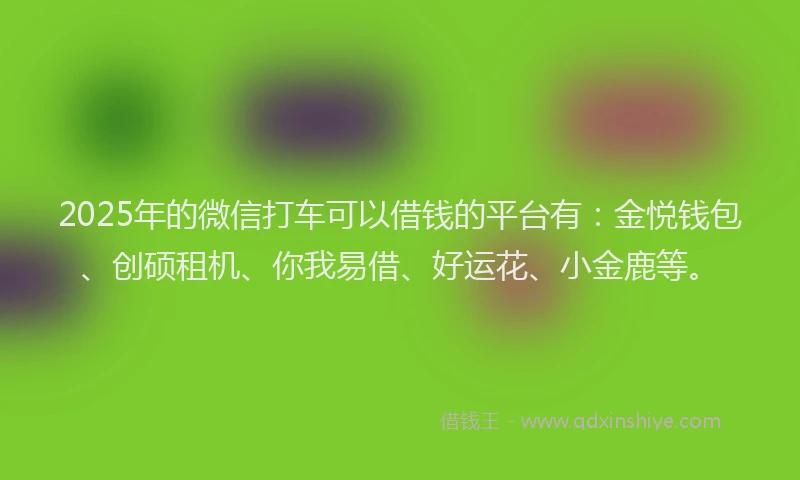 2025年的微信打车可以借钱的平台有：金悦钱包、创硕租机、你我易借、好运花、小金鹿等。