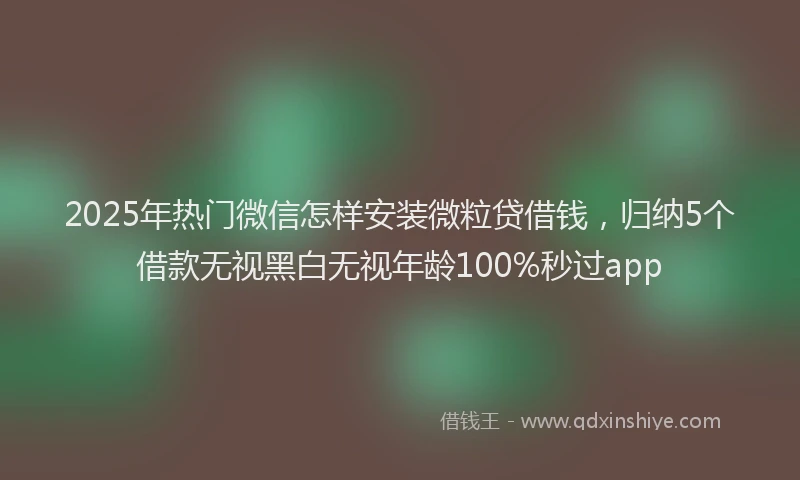 2025年热门微信怎样安装微粒贷借钱，归纳5个借款无视黑白无视年龄100%秒过app