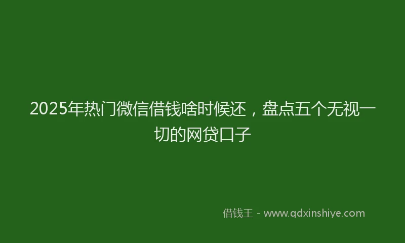 2025年热门微信借钱啥时候还，盘点五个无视一切的网贷口子