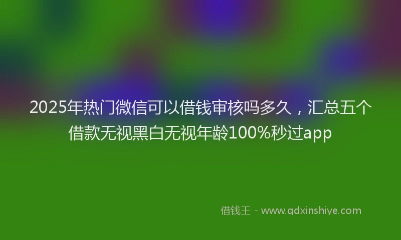2025年热门微信可以借钱审核吗多久，汇总五个借款无视黑白无视年龄100%秒过app